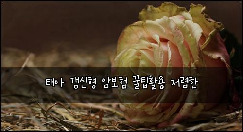 태아 갱신형 암보험 꿀팁활용  저렴한