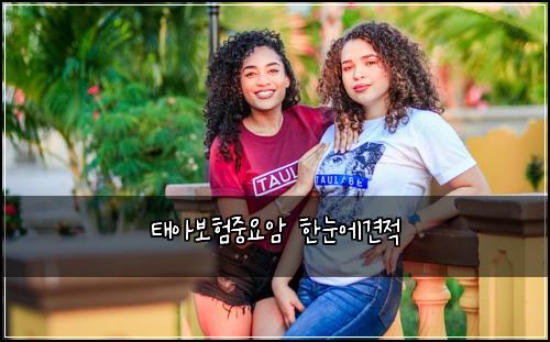 태아보험중요암 한눈에견적