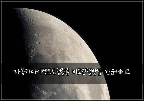 자동차다이렉트보험종류 비교진행방법 한눈에비교
