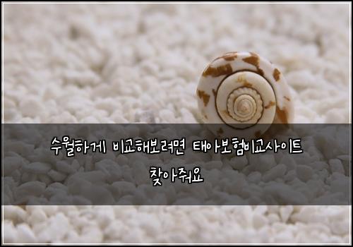수월하게 비교해보려면 태아보험비교사이트 찾아줘요