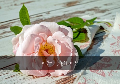 마음의 응원과 다짐