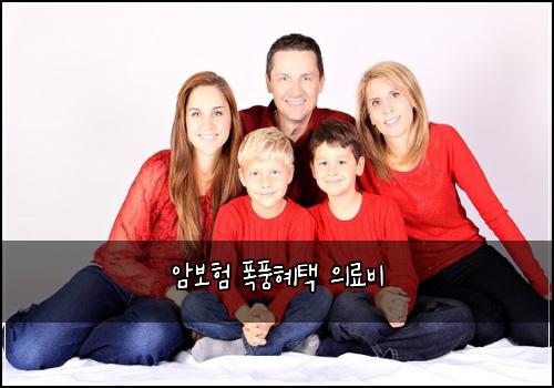 암보험 폭풍혜택  의료비