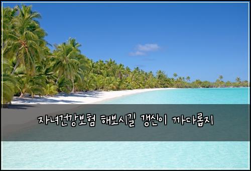 자녀건강보험 해보시길  갱신이 까다롭지