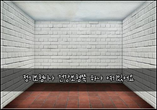 정기보험이나 건강보험쪽 하나 여기있어요