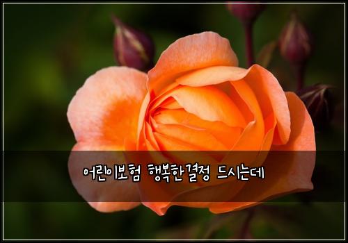 어린이보험 행복한결정  드시는데