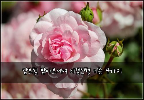 암보험 받아보세여  비갱신형 기준 4가지