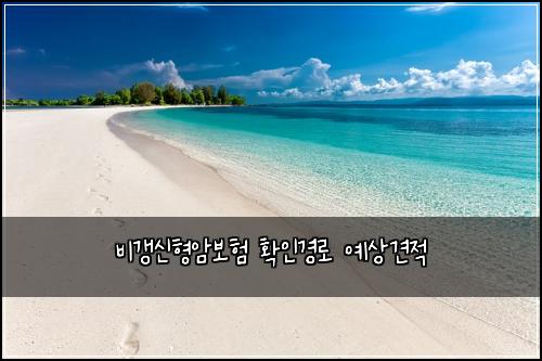 비갱신형암보험 확인경로  예상견적