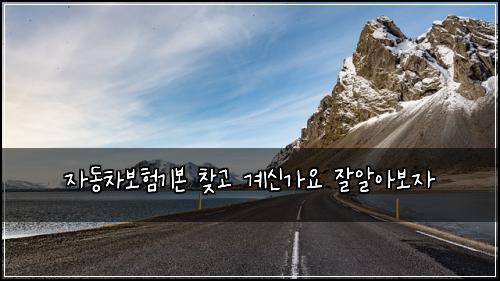 자동차보험기본 찾고 계신가요 잘알아보자