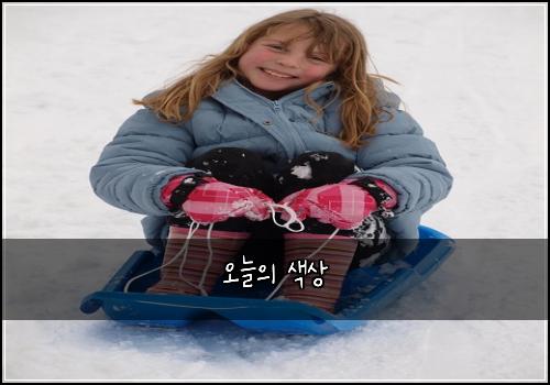 오늘의 색상