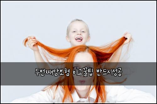 두번째암보험 비교꿀팁  반드시성공