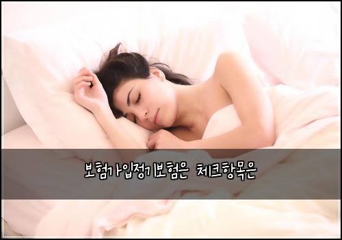 보험가입정기보험은 체크항목은