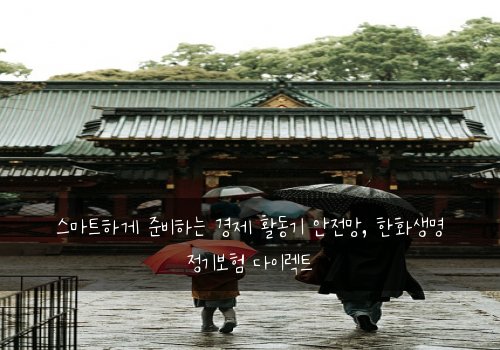  스마트하게 준비하는 경제 활동기 안전망, 한화생명 정기보험 다이렉트