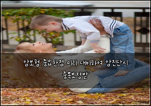 암보험 중요한점  미리 대비하여 암진단시 중복보장받