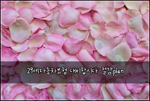 29세자동차보험 대비합시다  절감plan