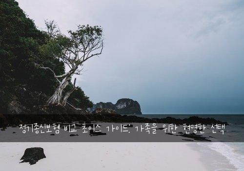 정기종신보험 비교 초이스 가이드: 가족을 위한 현명한 선택