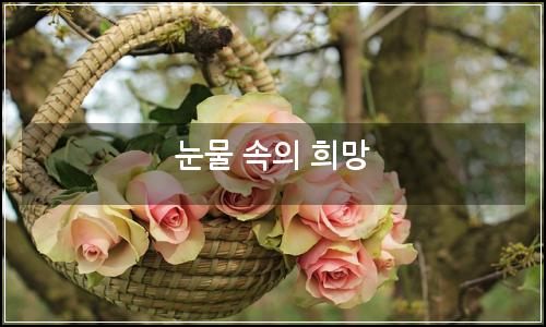 오늘의 이미지