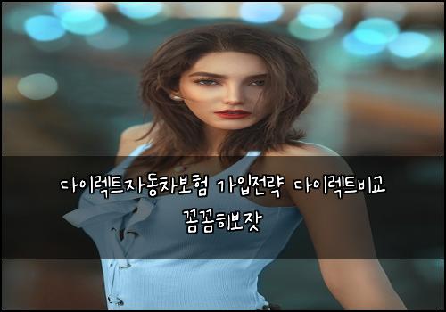 다이렉트자동차보험 가입전략  다이렉트비교 꼼꼼히보잣