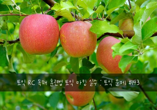 토익 RC 독해 훈련법 토익 마킹 실수 : 토익 문제 #143