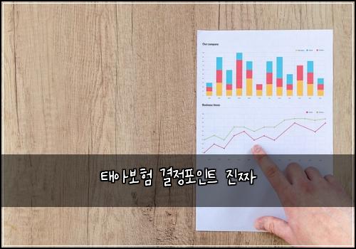 태아보험 결정포인트  진짜