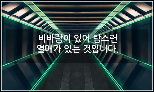 오늘의 이미지