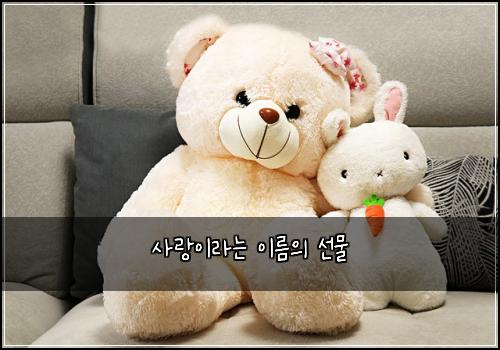 사랑이라는 이름의 선물