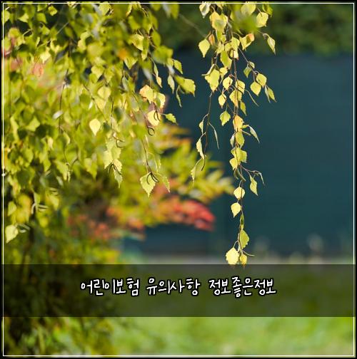 어린이보험 유의사항  정보좋은정보