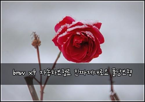 bmw x4 자동차보험료 진짜제대로요 풀담보형