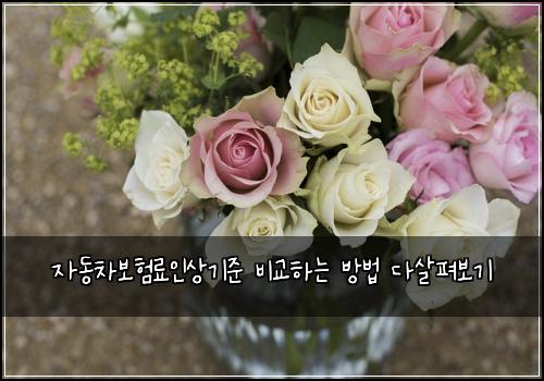 ์๋์ฐจ๋ณดํ๋ฃ์ธ์๊ธฐ์ค ๋น๊ตํ๋ ๋ฐฉ๋ฒ ๋ค์ดํด๋ณด๊ธฐ