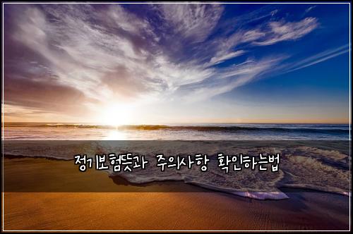 정기보험뜻과 주의사항 확인하는법