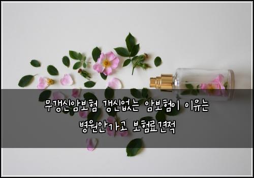 ๋ฌด๊ฐฑ์ ์๋ณดํ ๊ฐฑ์ ์๋ ์๋ณดํ์ด ์ด์ ๋ ๋ณ์์๊ฐ๊ณ ๋ณดํ๋ฃ๊ฒฌ์ 