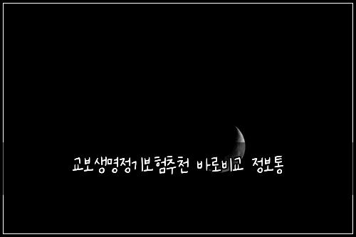 교보생명정기보험추천 바로비교 정보통