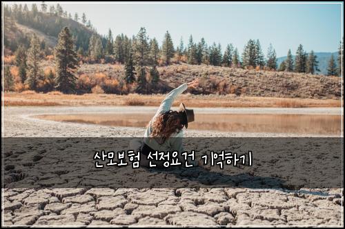 산모보험 선정요건  기억하기