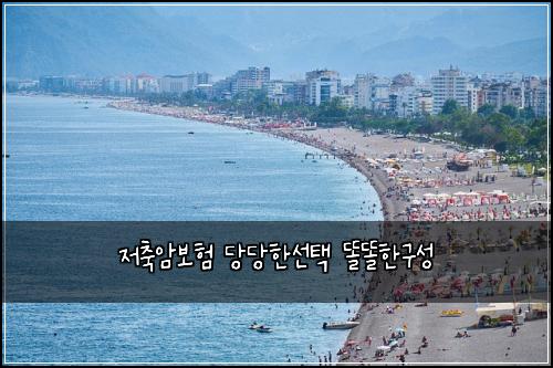저축암보험 당당한선택  똘똘한구성