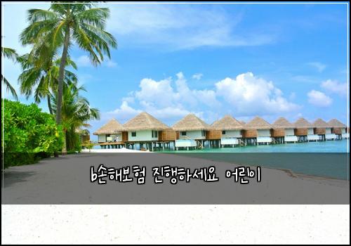 b손해보험 진행하세요  어린이