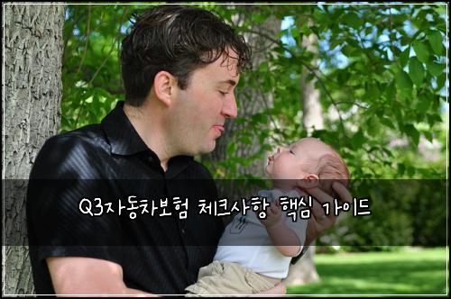 Q3자동차보험 체크사항 핵심 가이드