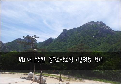 h화재 든든한 실속보장보험 비용점검  정기