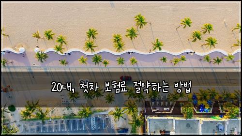20대, 첫차 보험료 절약하는 방법