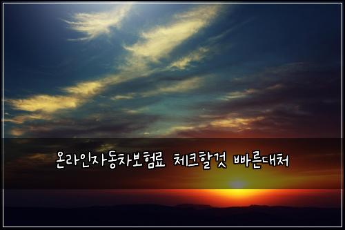 온라인자동차보험료 체크할것 빠른대처