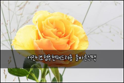 어린이보험추천해드려용 올바른선택