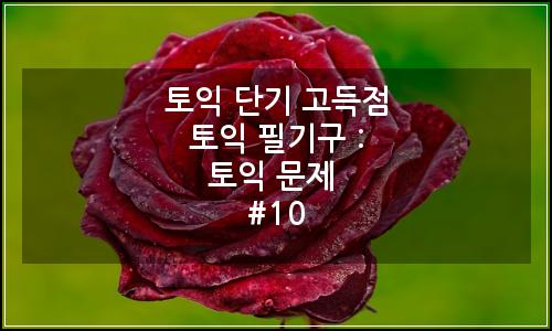 오늘의 이미지