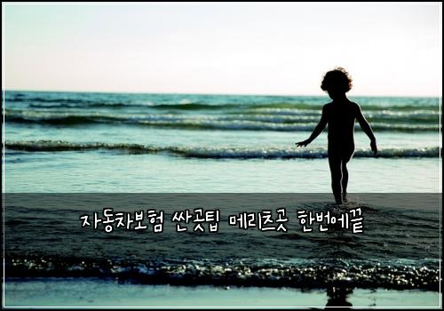 μλ차보ν μΌκ³³ν λ©λ¦¬μΈ κ³³ νλ²μλ