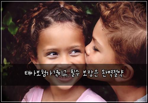 태아보험가격비교 필수 보장은 완벽절약