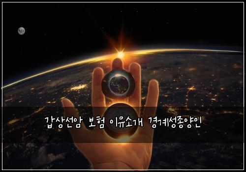 갑상선암 보험 이유소개  경계성종양인