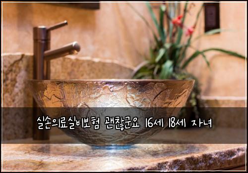 실손의료실비보험 괜찮군요  16세 18세 자녀