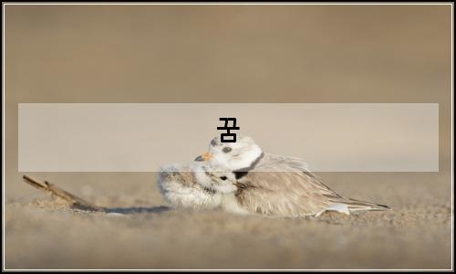 오늘의 이미지