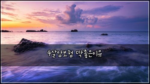 4살암보험 딱좋은이유 