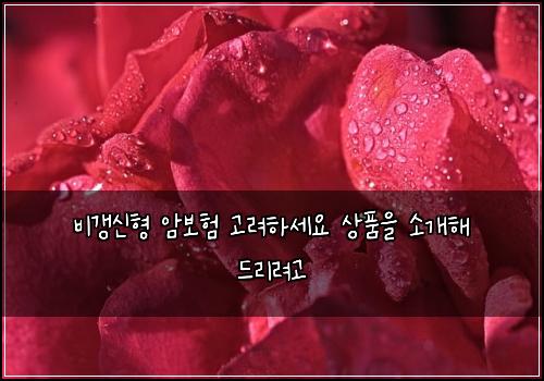 비갱신형 암보험 고려하세요  상품을 소개해 드리려고