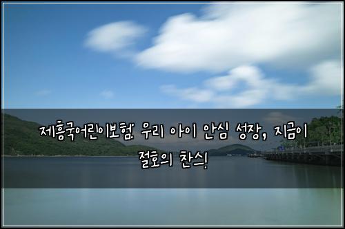 제흥국어린이보험: 우리 아이 안심 성장, 지금이 절호의 찬스!