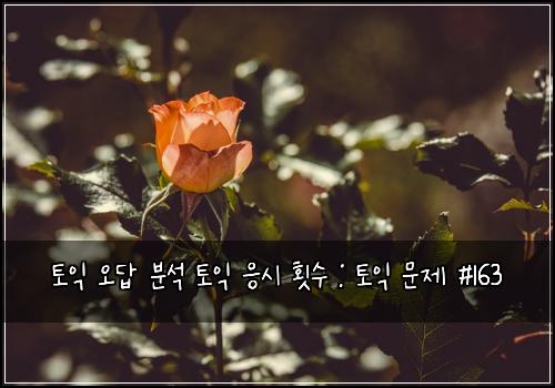 토익 오답 분석 토익 응시 횟수 : 토익 문제 #163