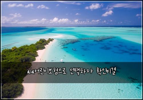 aia어린이보험으로 선택하자 확인비결
